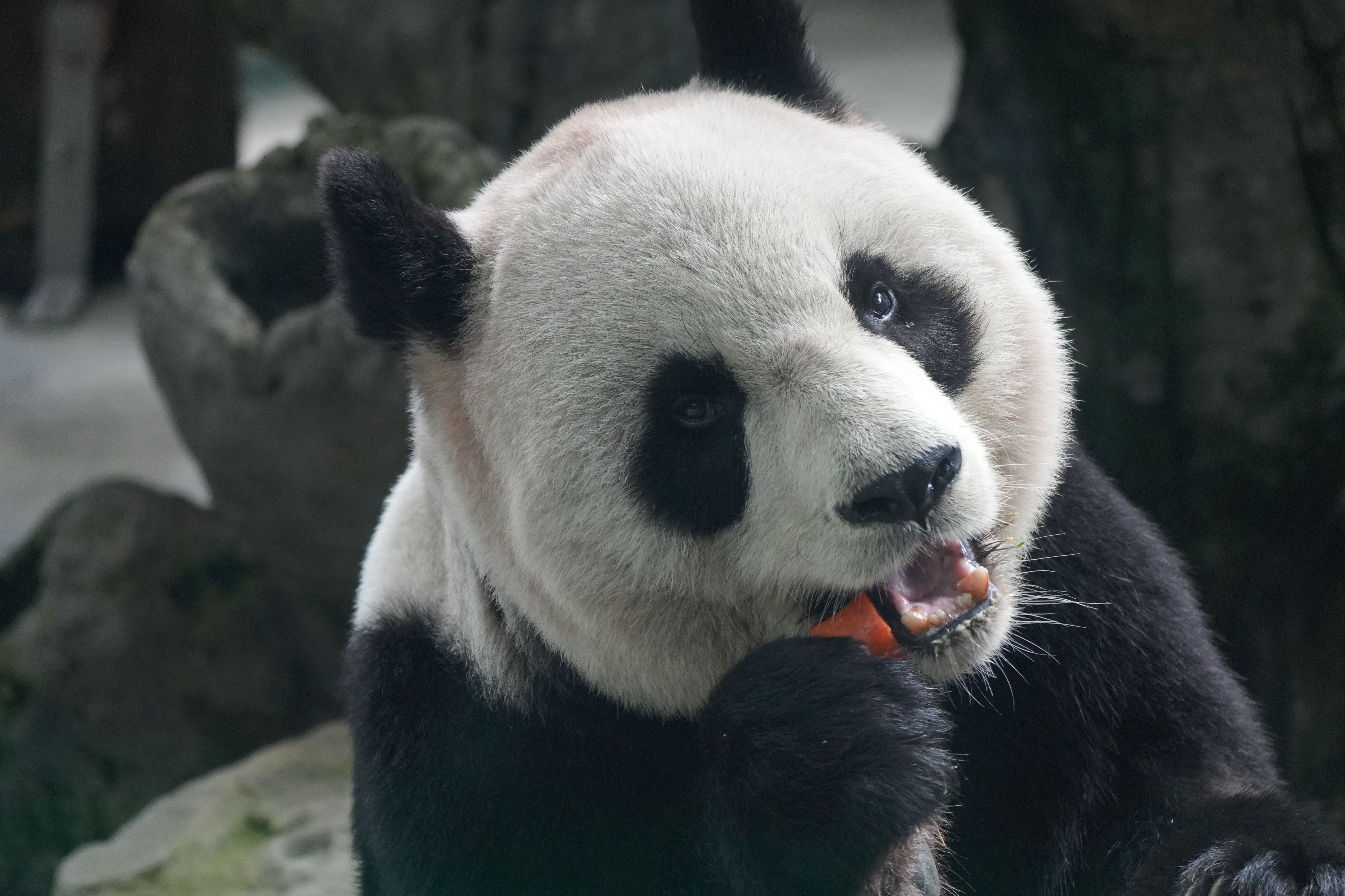 Tierpark Brunch