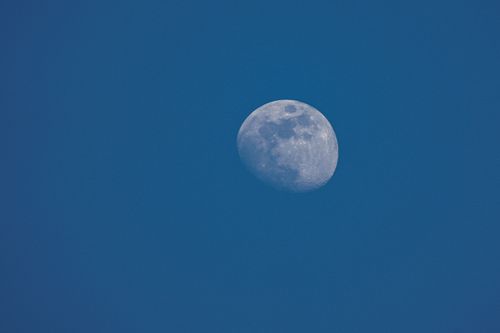 Free A close-up of the moon against a clear blue sky, captured during the day. Stock Photo
