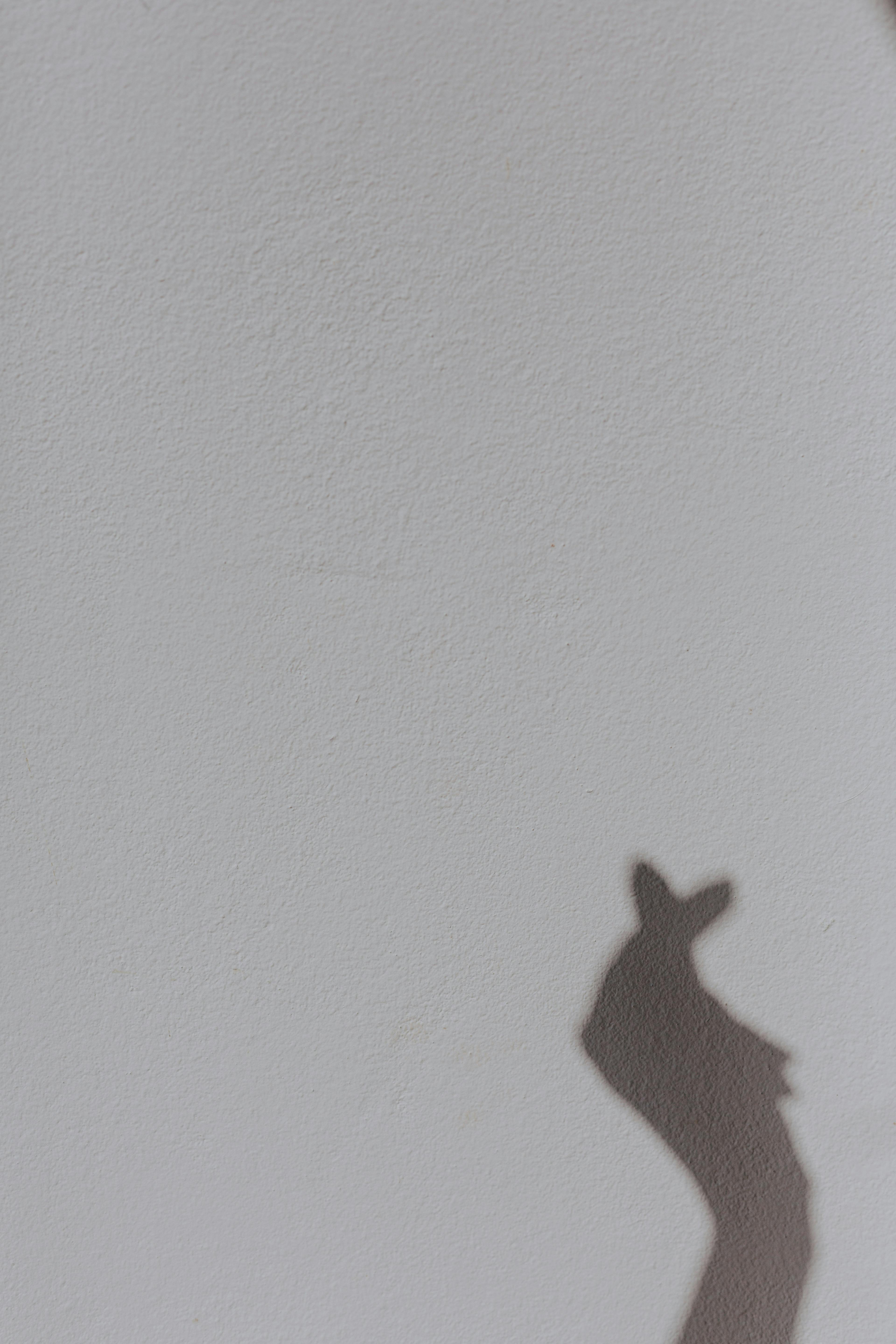 grátis Foto minimalista da sombra de uma mão projetando a silhueta de um coelho na parede. Foto profissional