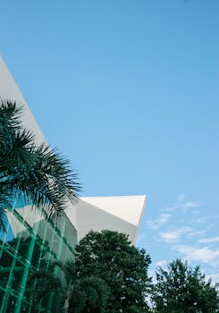 在明亮的蓝天下，棕榈树映衬着当代玻璃建筑，展现了现代设计