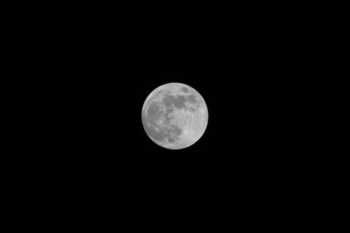 Free Capture of the full moon against a dark night sky, perfect for serene backgrounds. Stock Photo