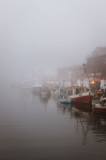 Misty harbour with fishing boats photo by Laura Meinhardt on Pexels