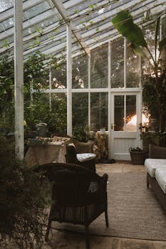 Peaceful conservatory with plants and evening sun in an English garden.