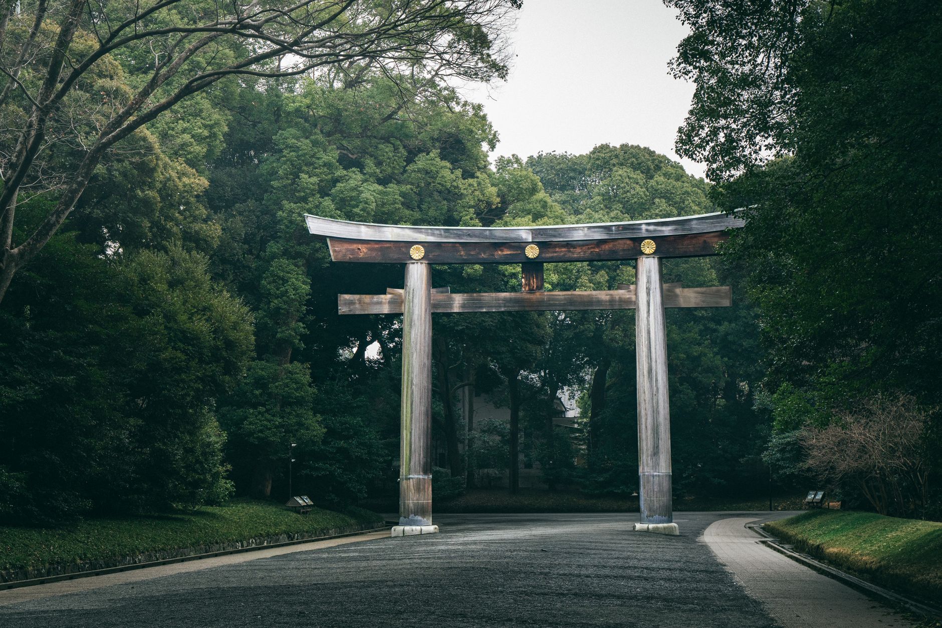 Meiji Jingu Shrine (Shibuya) Tokyo, Japan