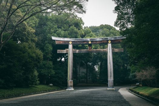 Nara day trip with temple and deer park — Kyoto