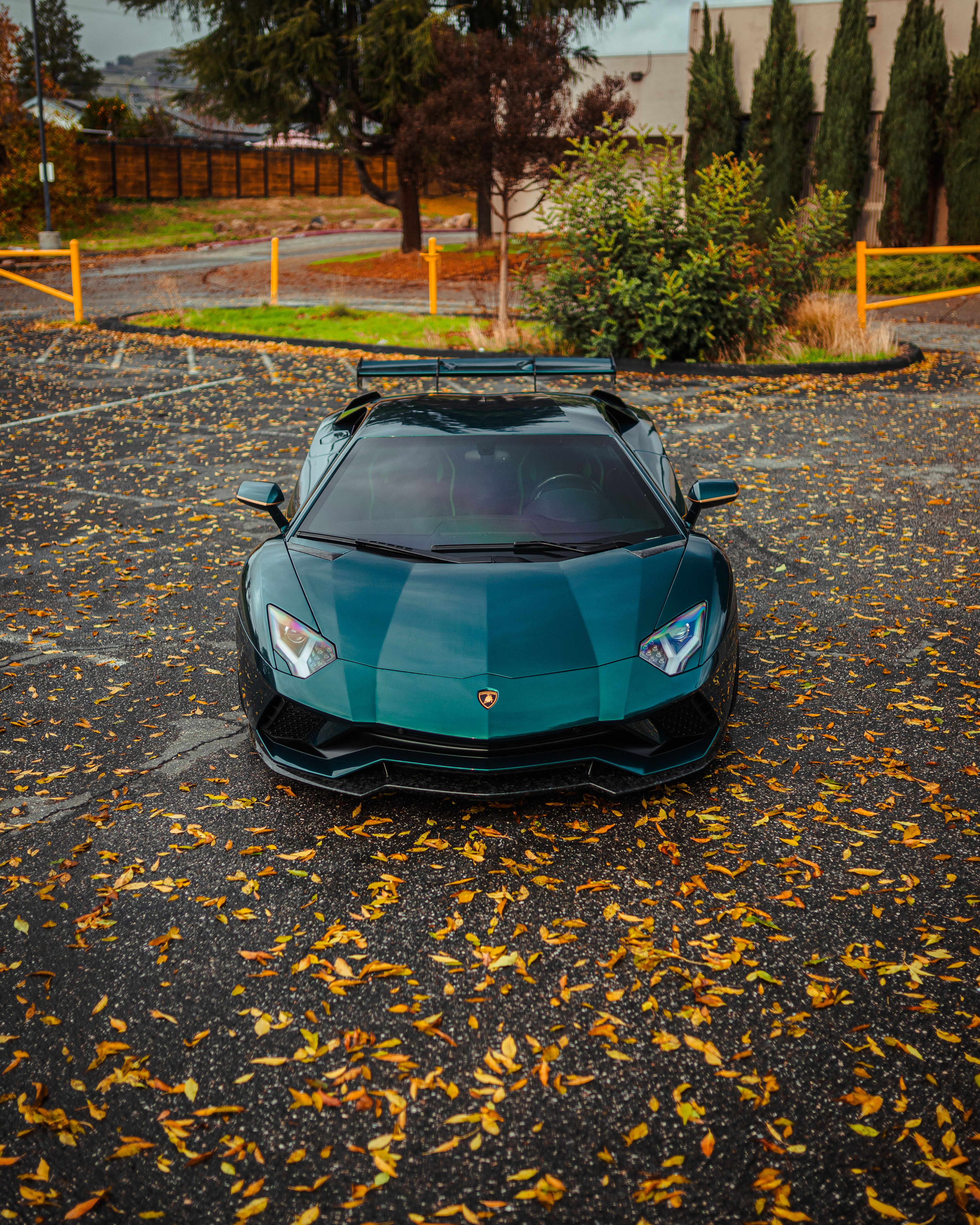 Prestige Car Drive Photos, Download The BEST Free Prestige Car Drive ...