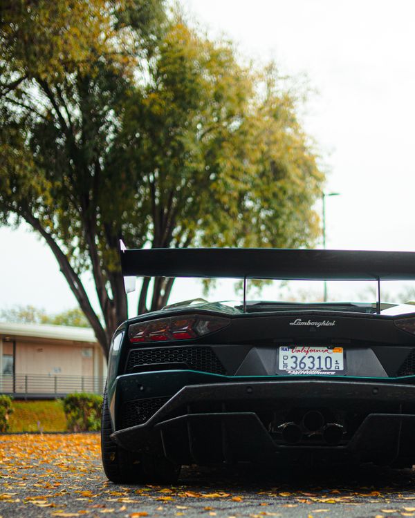 Rear View of Luxury Sports Car in Autumn Setting · Free Stock Photo