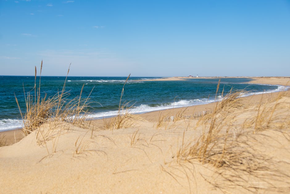 Cape Cod coastal landscape with dunes and native plants - eco-friendly irrigation cape cod