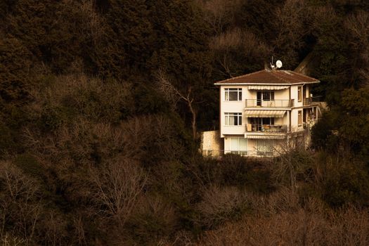 Charming house isolated in dense Istanbul forest during autumn.