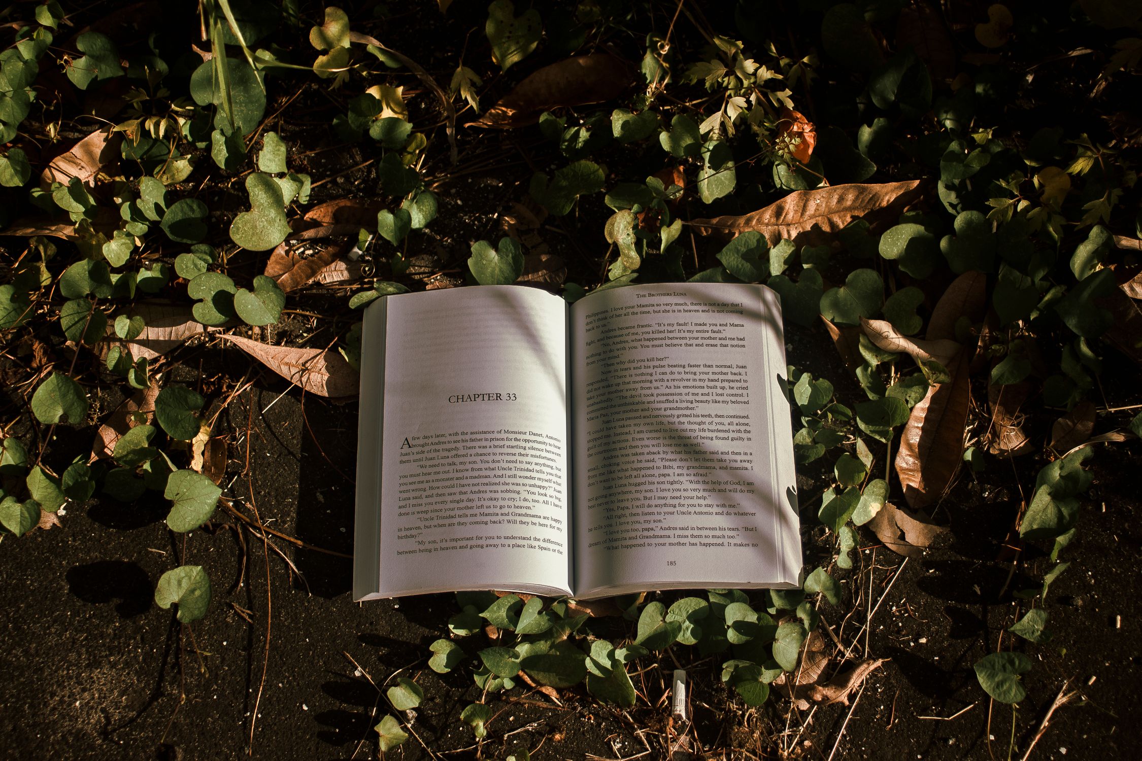 Layed Open Book Open Book Lying on Ground · Free Stock Photo