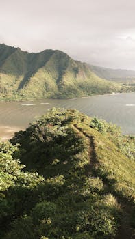 Serene tropical mountain landscape and coastline view at sunrise.