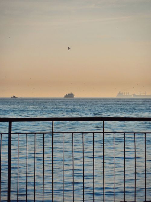 Free A peaceful ocean scene with ships in the distance and a bird soaring above. Ideal for tranquil themes. Stock Photo