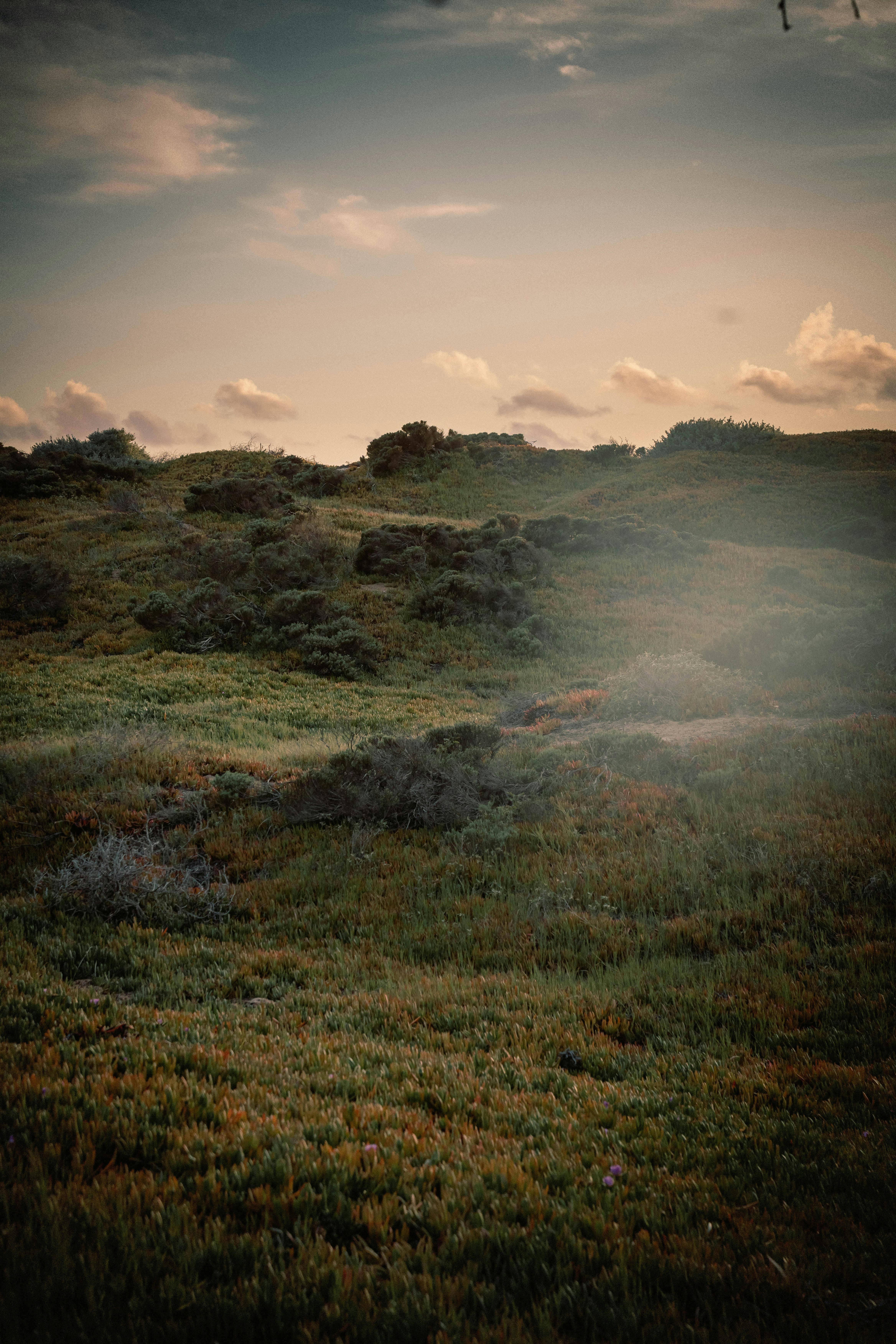 Peaceful landscape of verdant hills under a twilight sky, capturing nature's serene beauty.