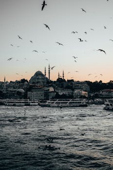 黄昏时分，海鸥飞过博斯普鲁斯海峡，伊斯坦布尔天际线的轮廓营造出宁静的城市景观