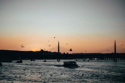 博斯普鲁斯海峡大桥的日落景色迷人，船只和鸟类的剪影点缀其间