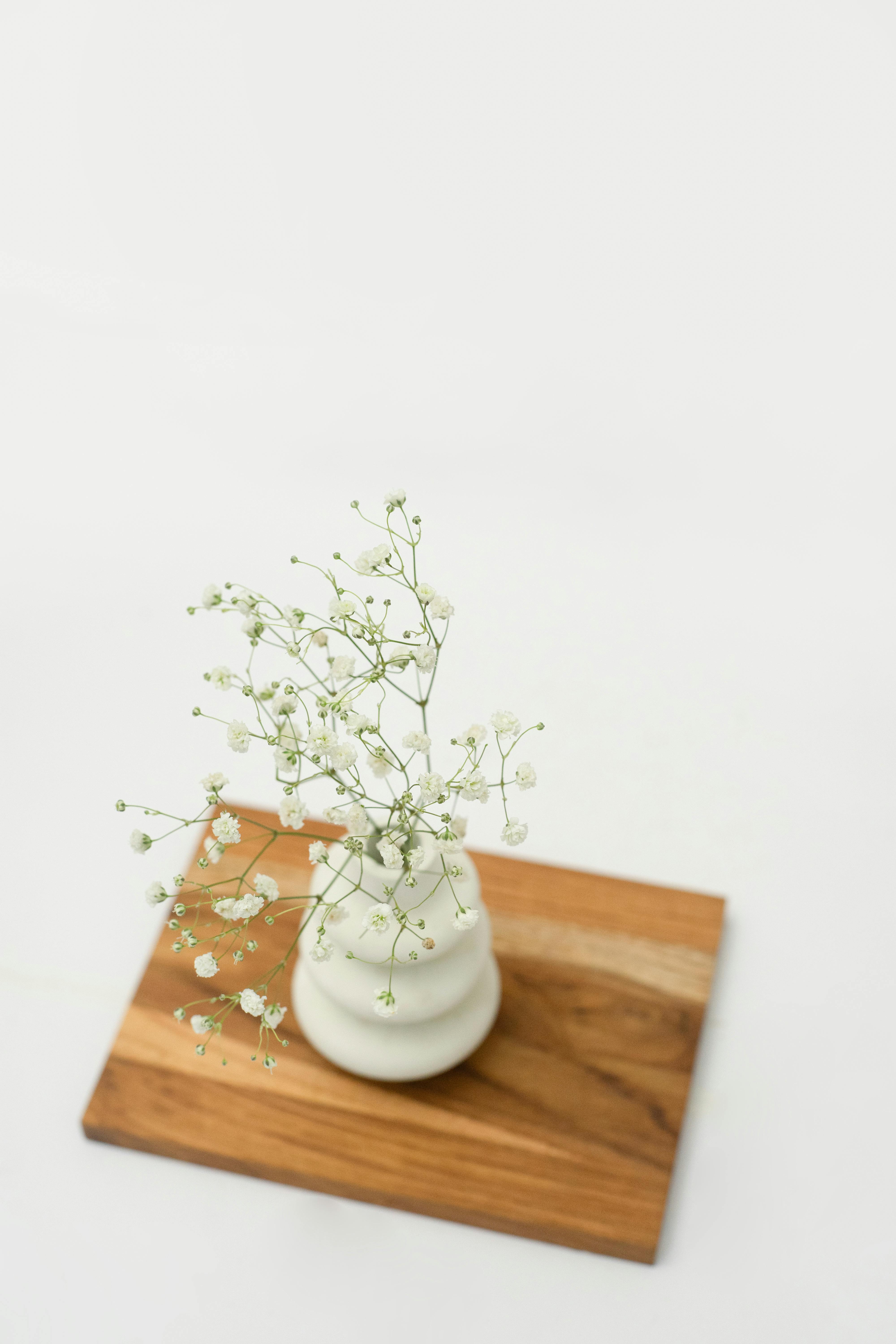 Aesthetic arrangement of baby's breath in a sleek white vase on a wooden base.
