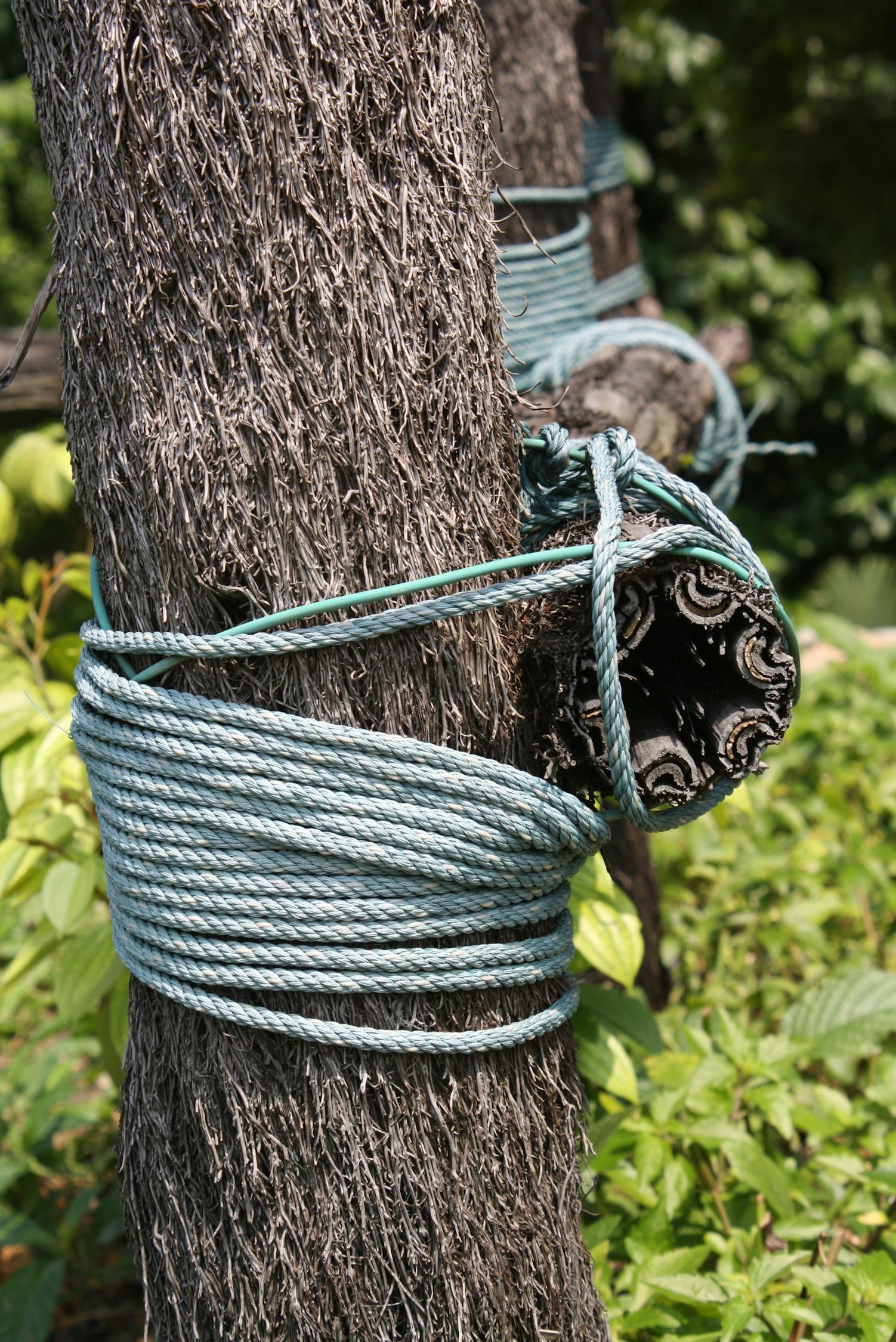 Free stock photo of tied up