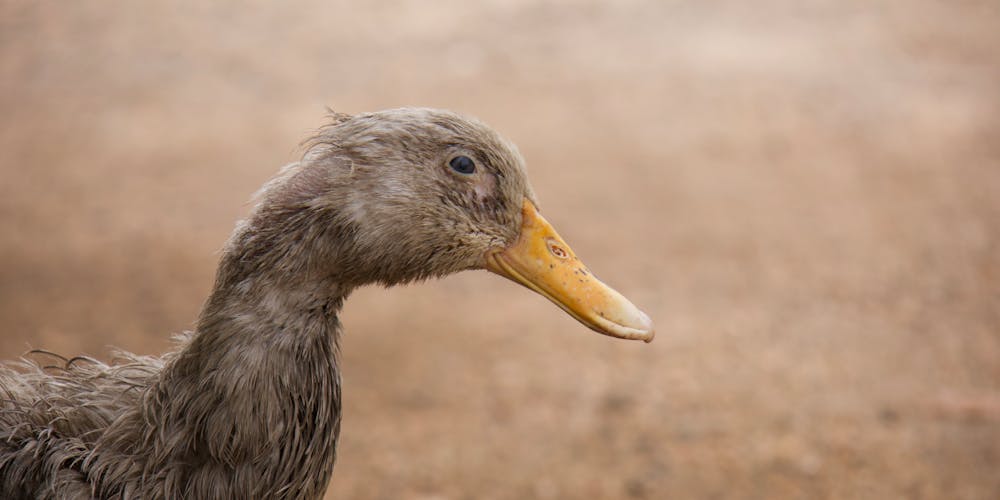 Tận Hưởng Cuộc Sống Tuyệt Vời Cùng gem 79king - Cửa Ngõ Đến Thành Công