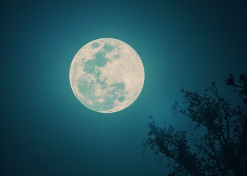 Free Solemos mentirle a la Luna Stock Photo
