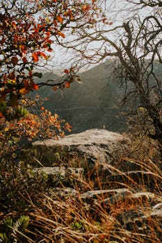 Sunlit autumn scene with rocky terrain and vibrant foliage.