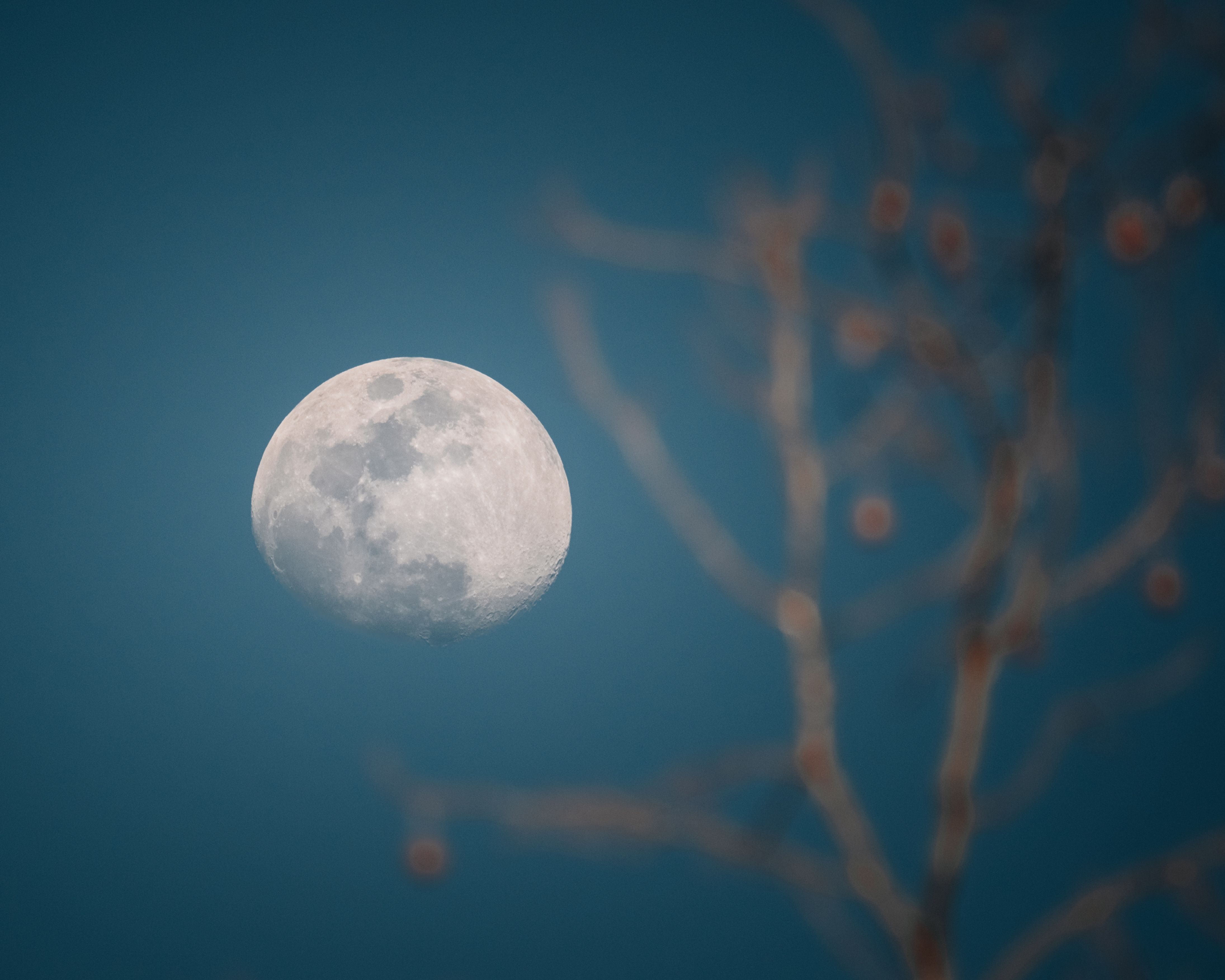 Dean Koontz - Winter Moon (V2.0)
