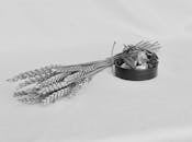 Minimalist Still Life with Wheat and Aromatics