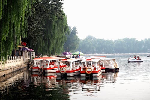 Free stock photo of beijing, boat, china