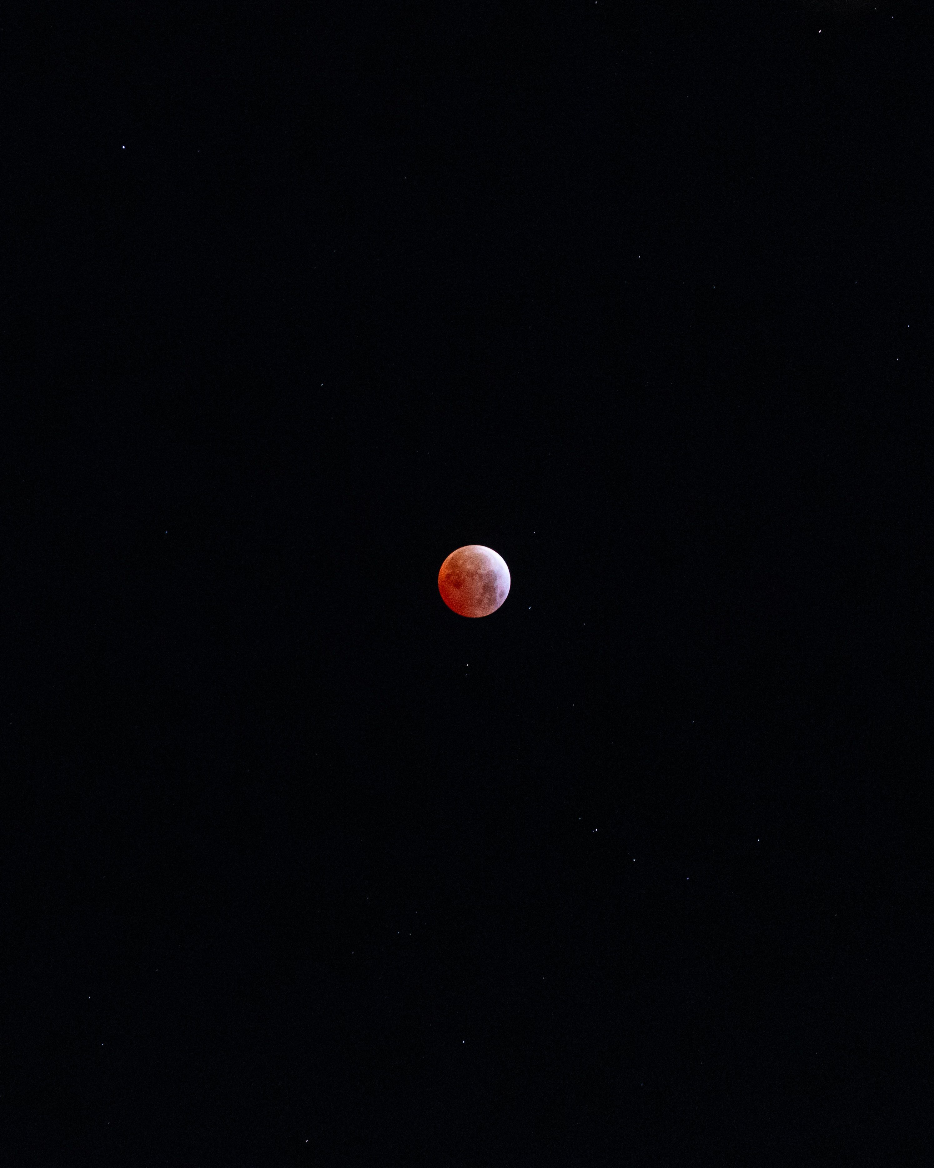 Blood Moon Lunar Eclipse in Starry Night Sky · Free Stock Photo
