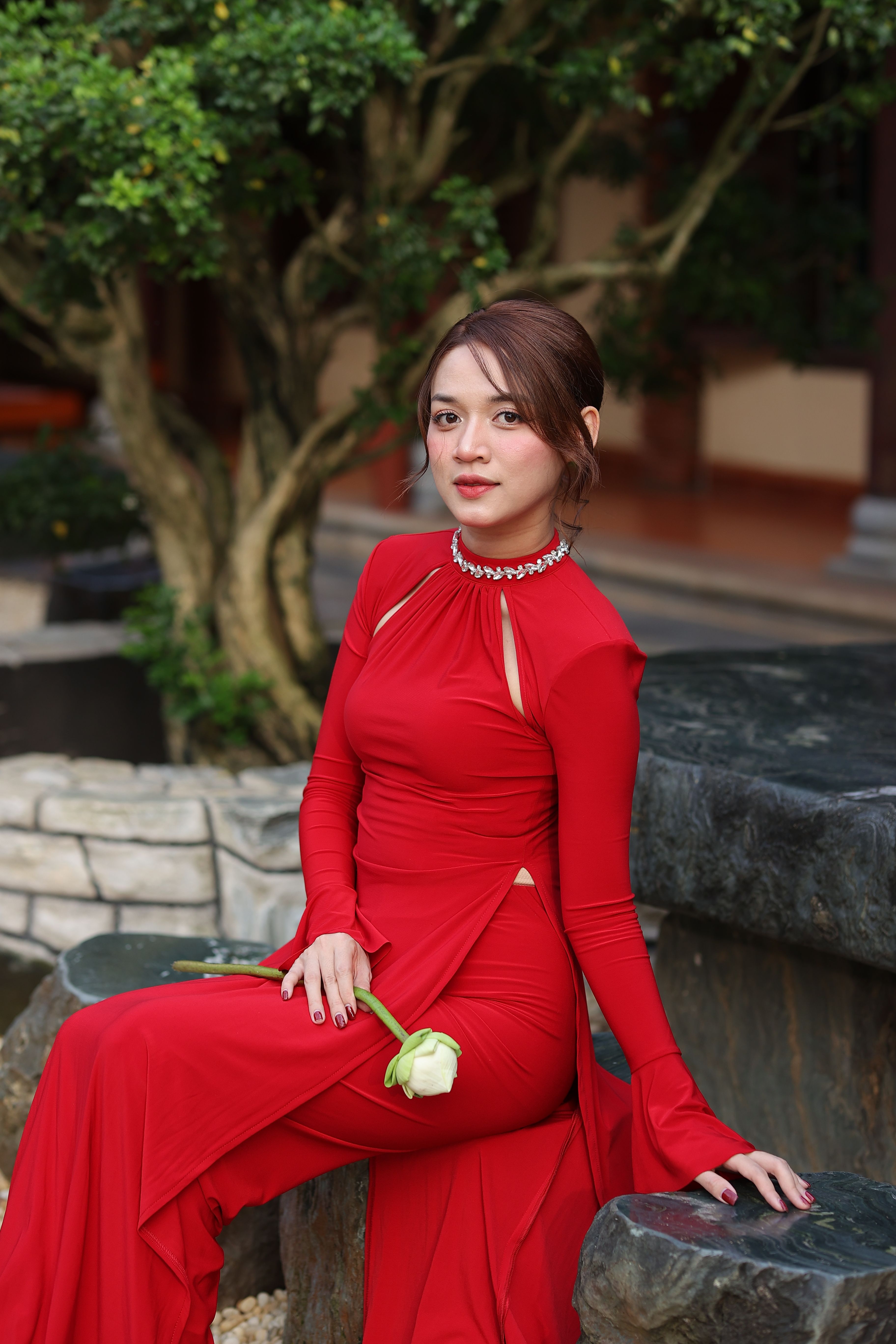 Profile of a Beautiful Elegant Woman in a Red Dress and Jewelry  Free  Stock Photo