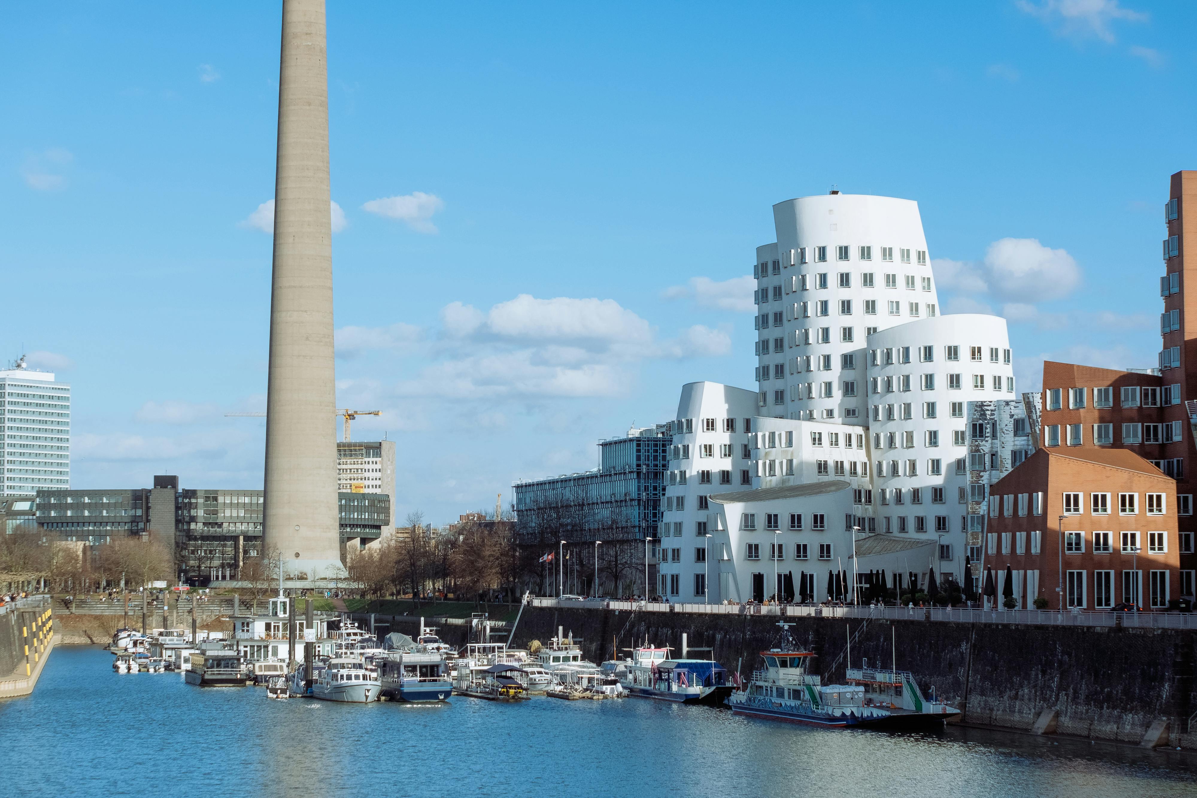 Rheinwiesen Düsseldorf