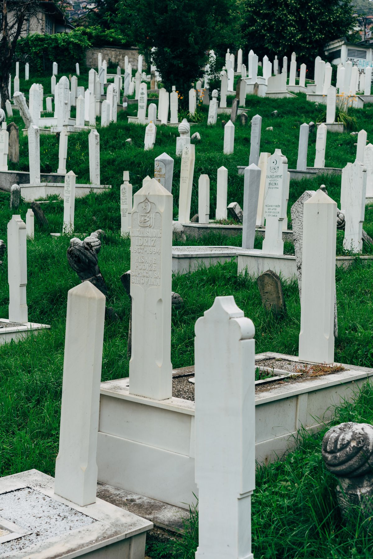 Old gravestones in a historic cemetery