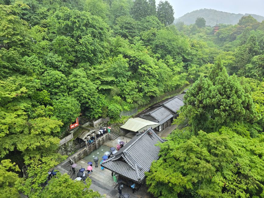 Randonnée au Mont Minoh avec cascade et thé vert local