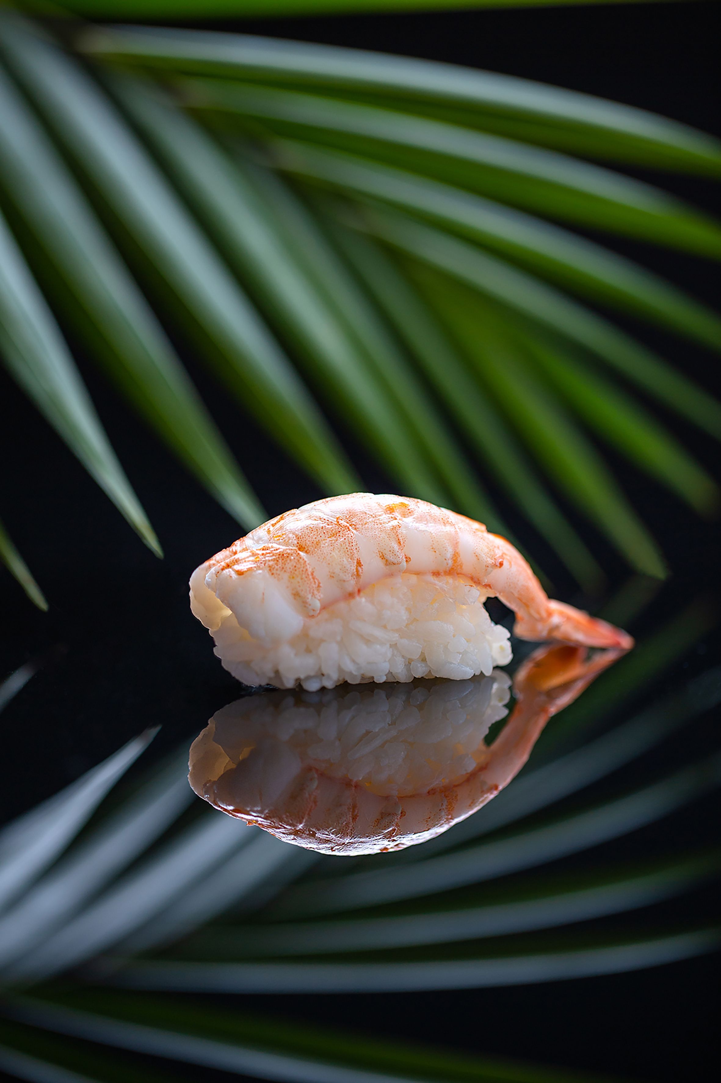 Shrimp Tempura
