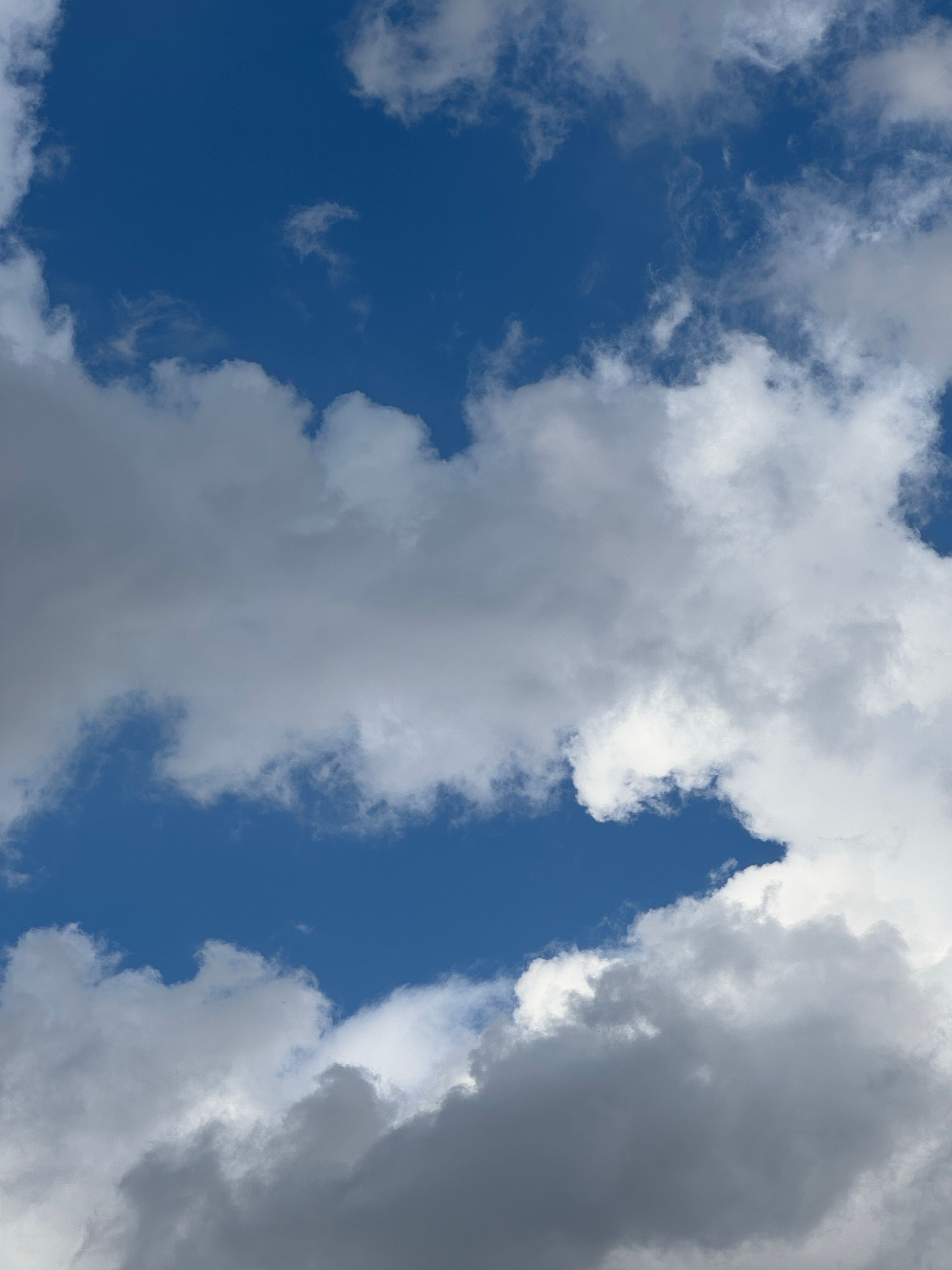 Vivid Blue Sky with Puffy White Clouds · Free Stock Photo