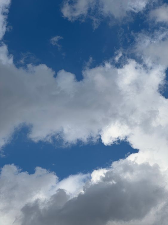 Vivid Blue Sky with Puffy White Clouds · Free Stock Photo
