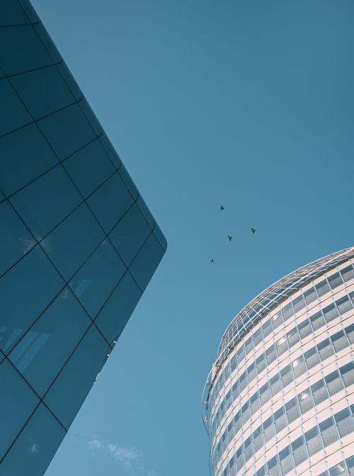 Free A low angle shot of modern glass buildings with birds soaring above a clear blue sky. Stock Photo