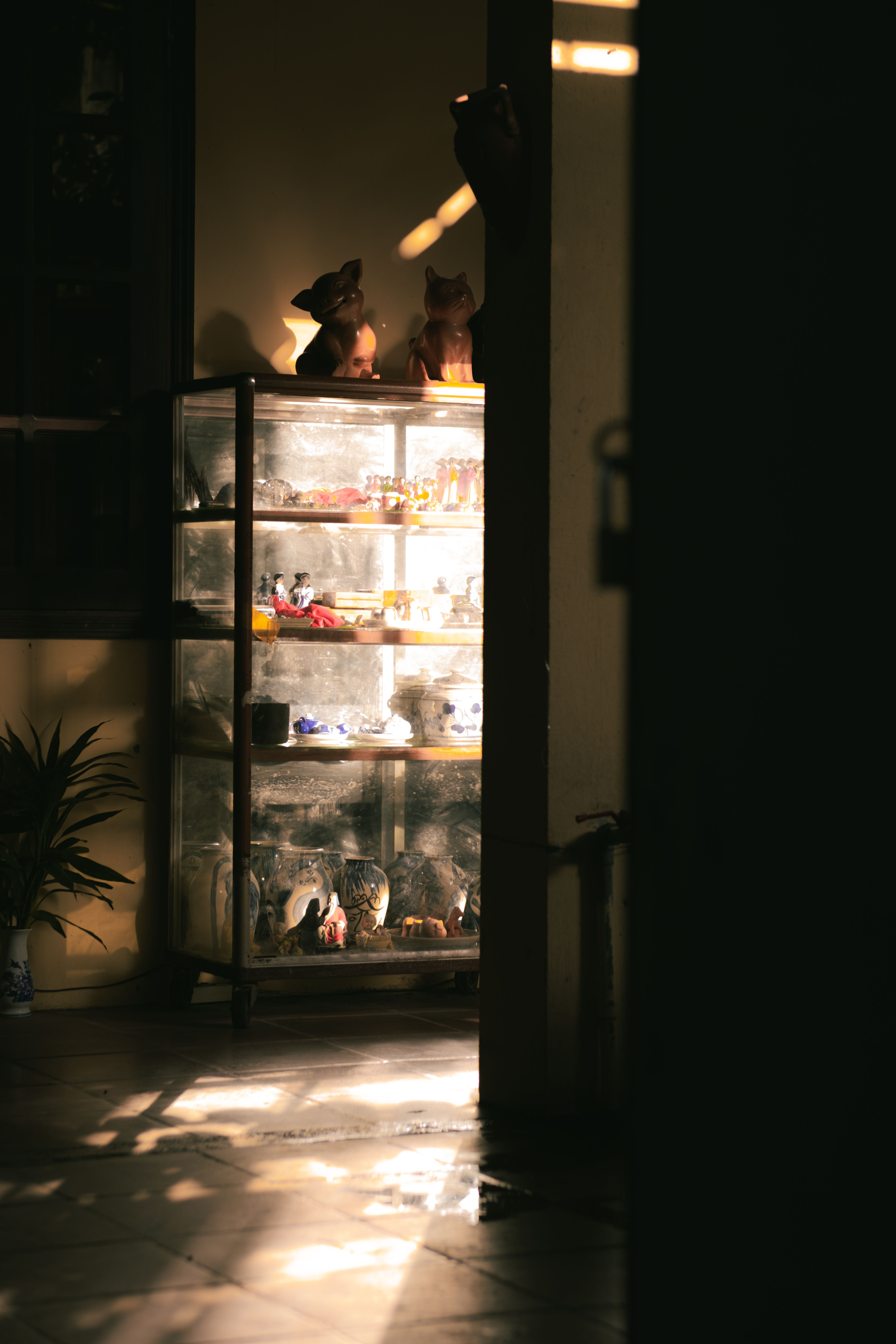 proper display shelving for collectibles with protective cases