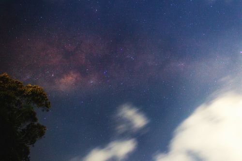 Free Breathtaking view of the Milky Way against a clear night sky, framed by clouds and treetops. Stock Photo