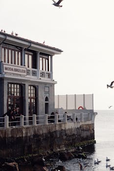 Atmospheric seaside view of Moda İskele with seagulls flying over calm waters.