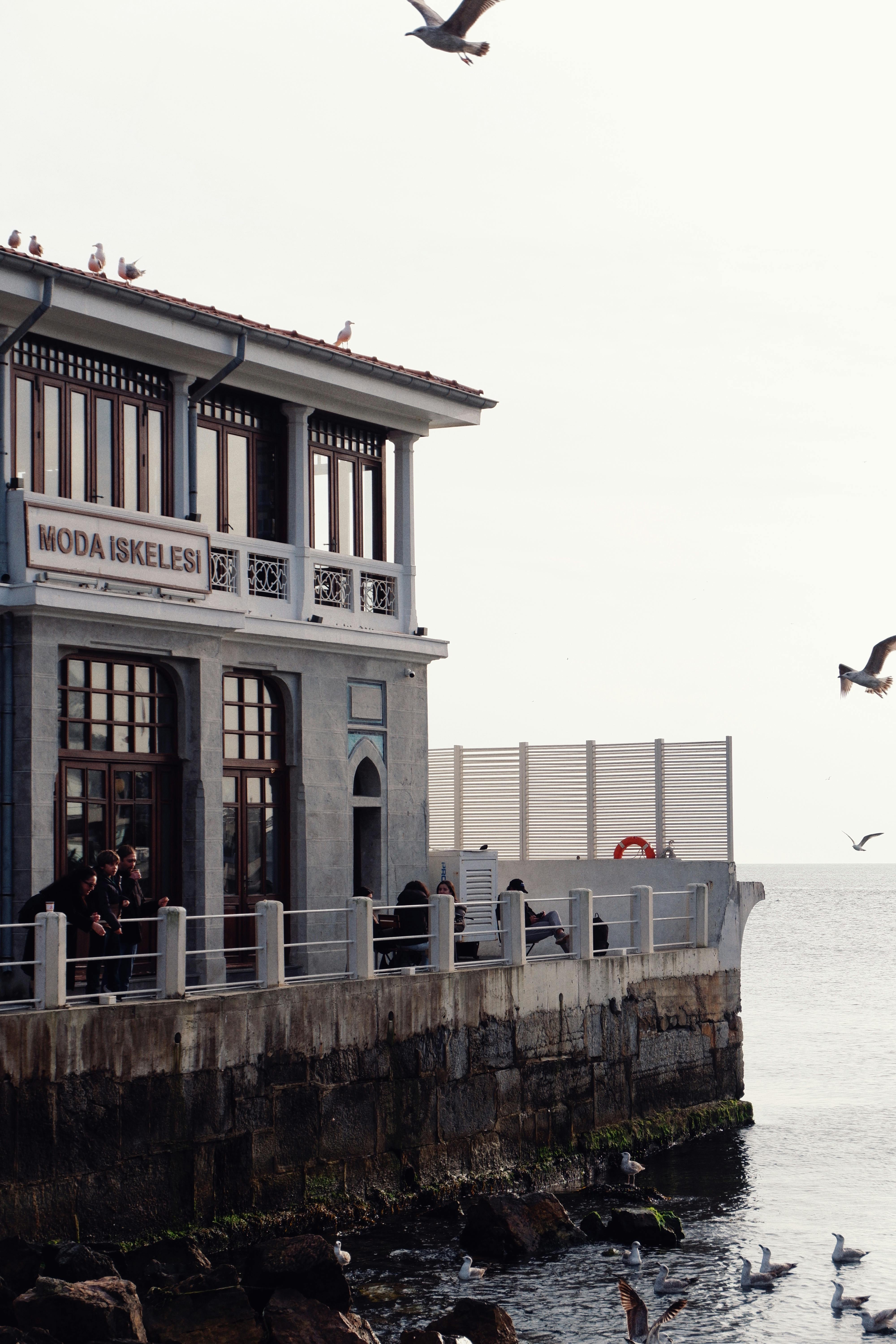 Free Atmospheric seaside view of Moda İskele with seagulls flying over calm waters. Stock Photo