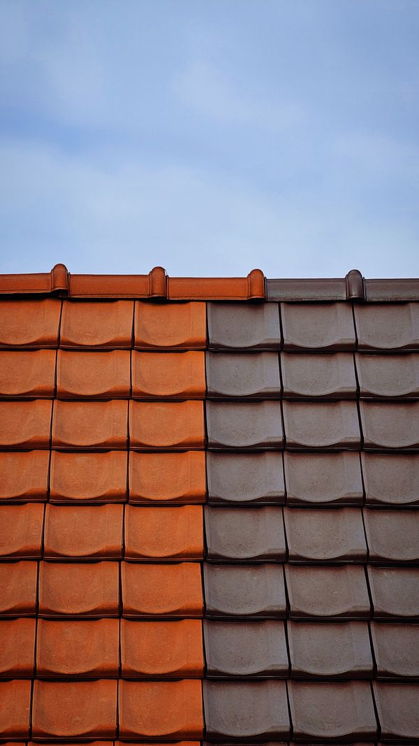 Roof cleaning and moss removal Seattle WA