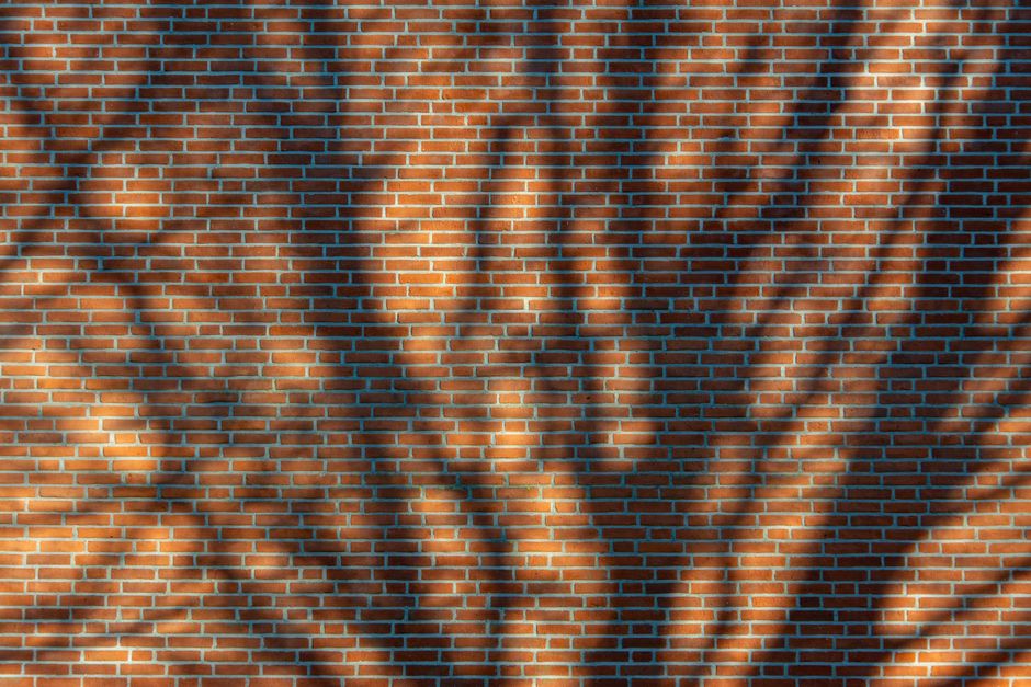 Captivating shadows create abstract patterns on a sunlit brick wall.