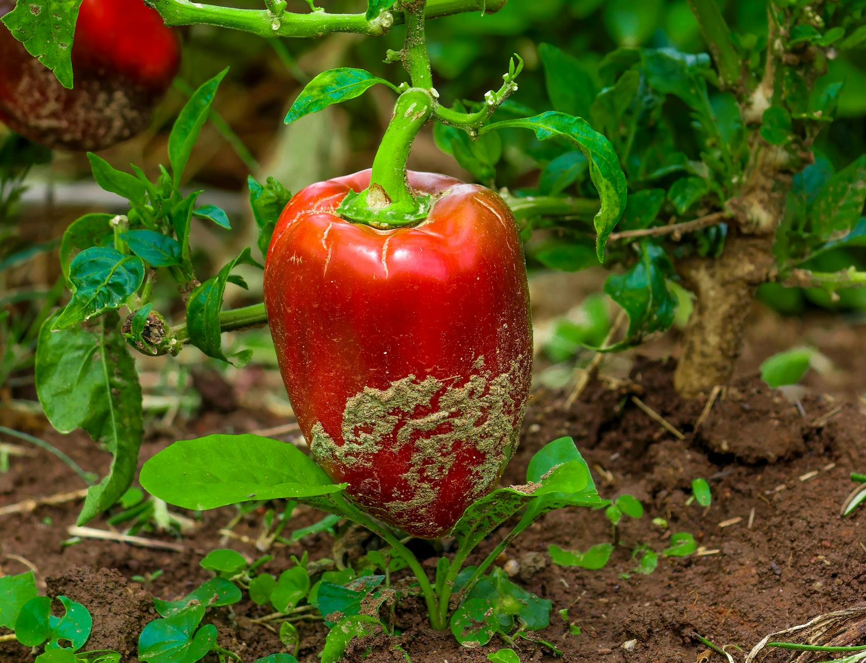 Popular sights in Harare Landmarks in Harare