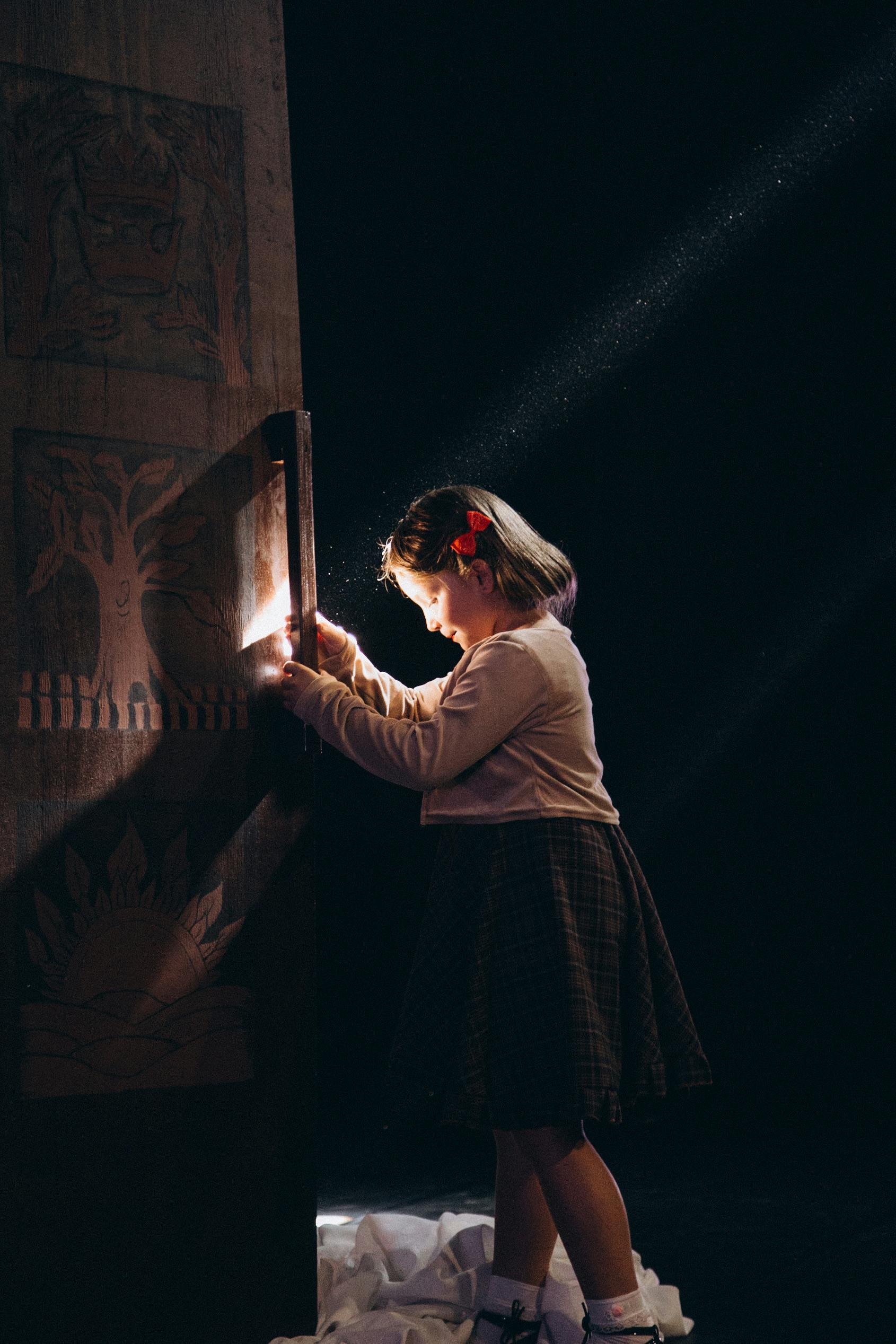 grátis Foto profissional grátis de alegria, aventura, brincalhão Foto profissional