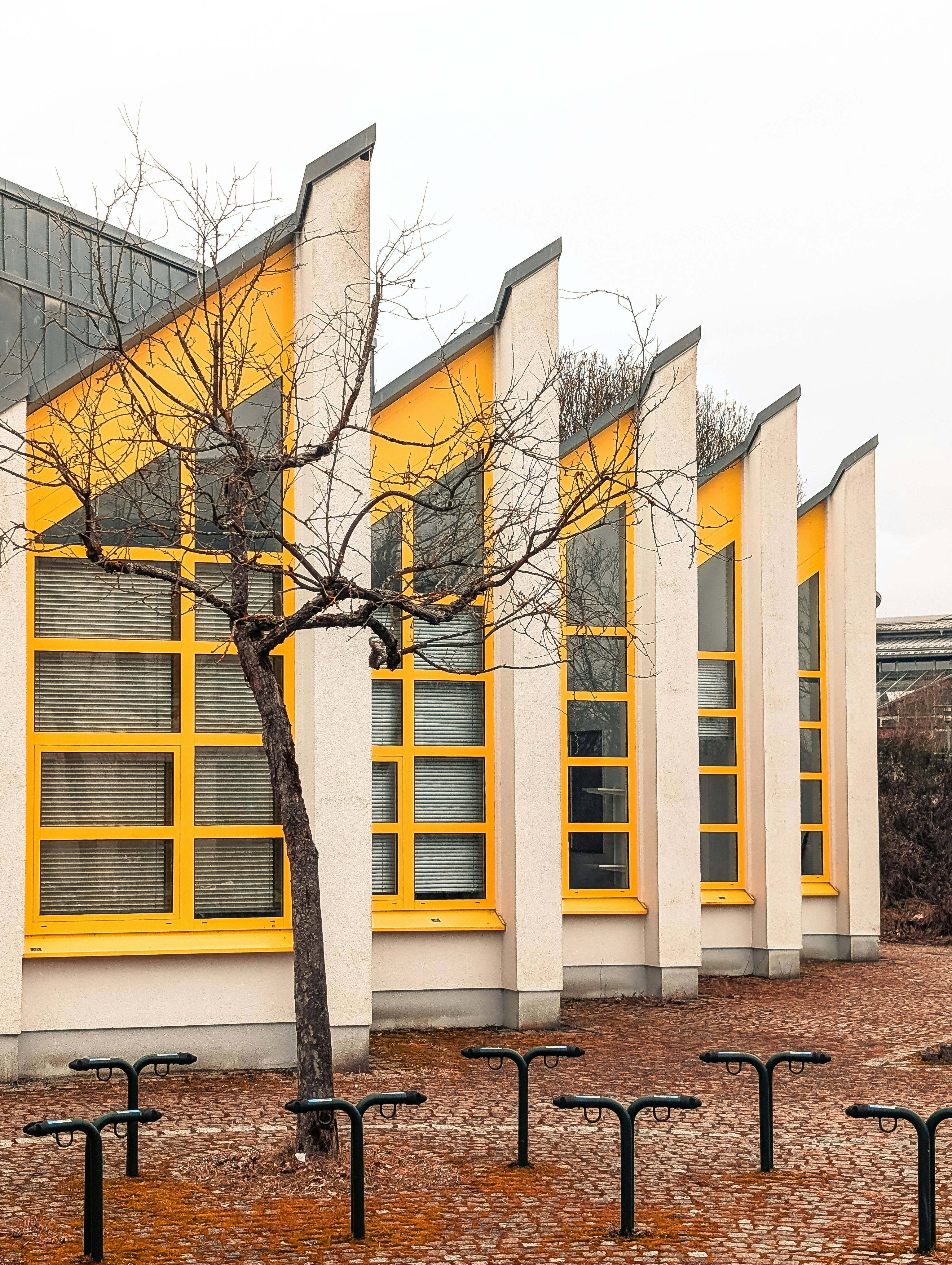 A contemporary building with yellow frames adjacent to a leafless tree and bike racks.