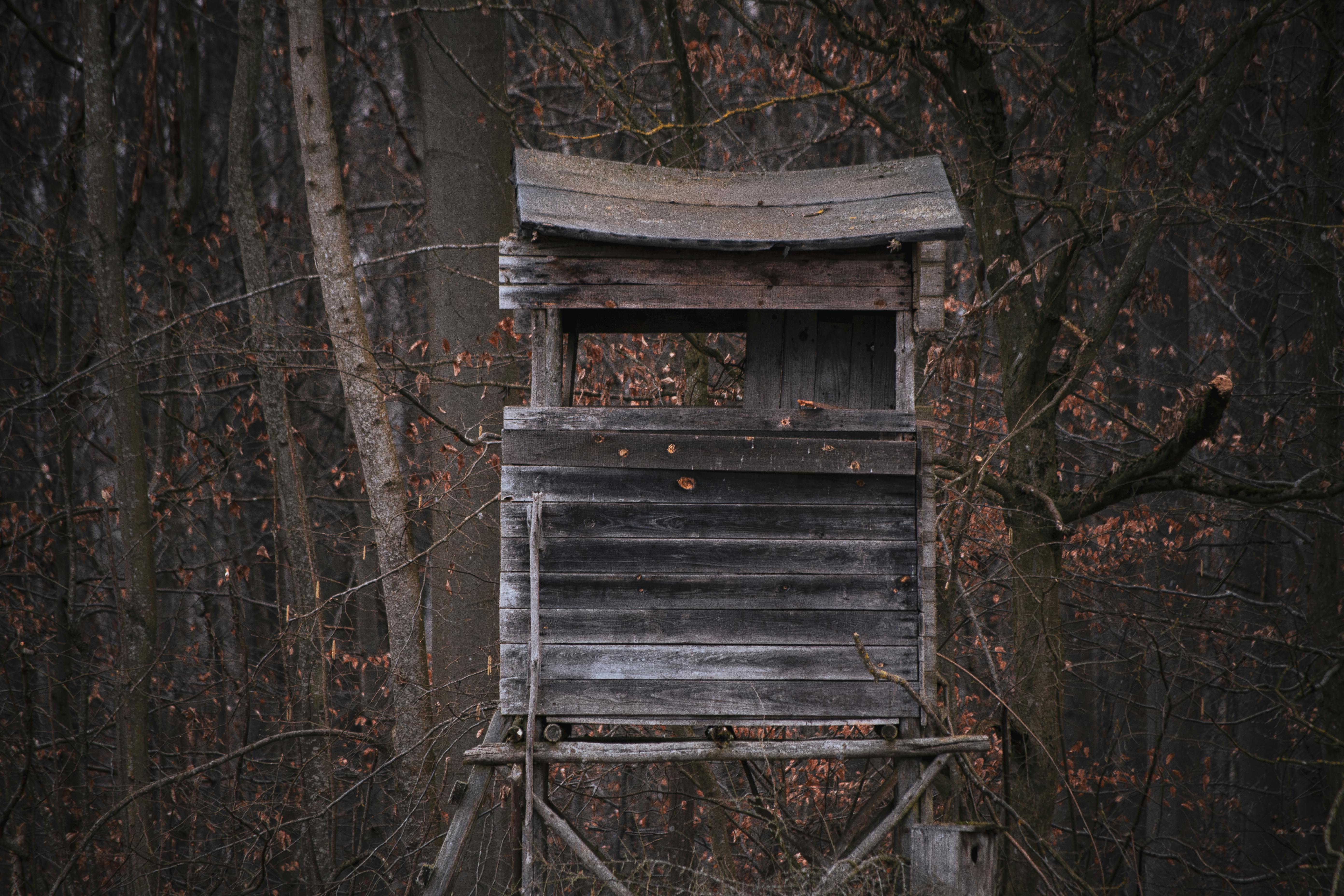Rustic wooden hunting tower surrounded by autumn trees in a dense forest.