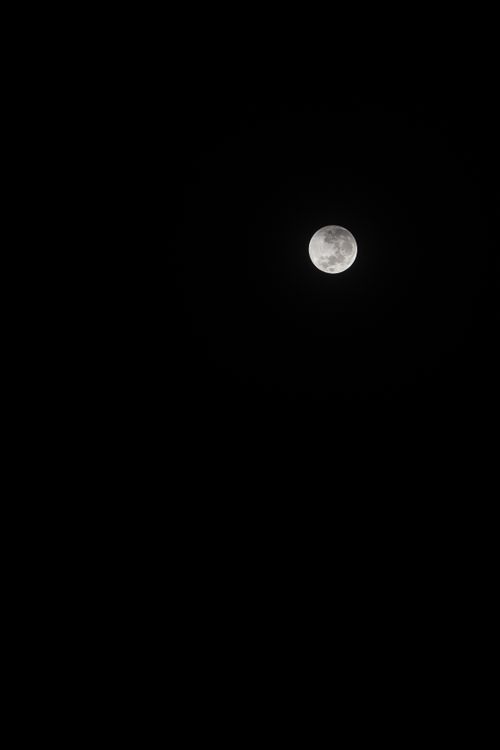 Free A clear view of the full moon illuminating the dark night sky. Stock Photo