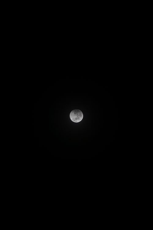 Free Crisp image of the full moon against a dark night sky. Perfect for astronomy enthusiasts. Stock Photo