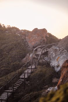 在南非罗布伯格自然保护区的风景优美木制小路上，可以欣赏到壮丽的景色