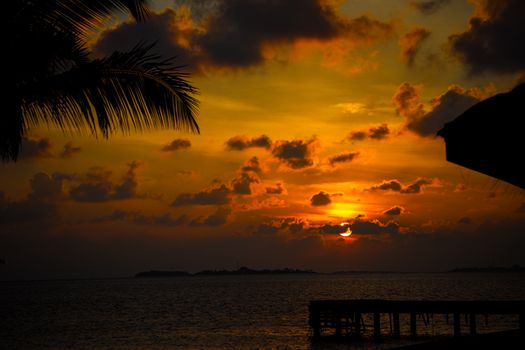 Breathtaking sunset over the Maldives sea with vibrant colors and palm silhouettes.